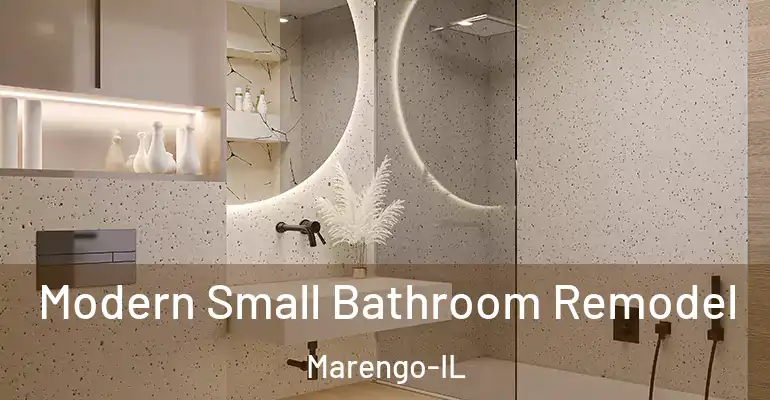 inner Bathroom imggen Modern Small Bathroom Remodel Marengo-IL