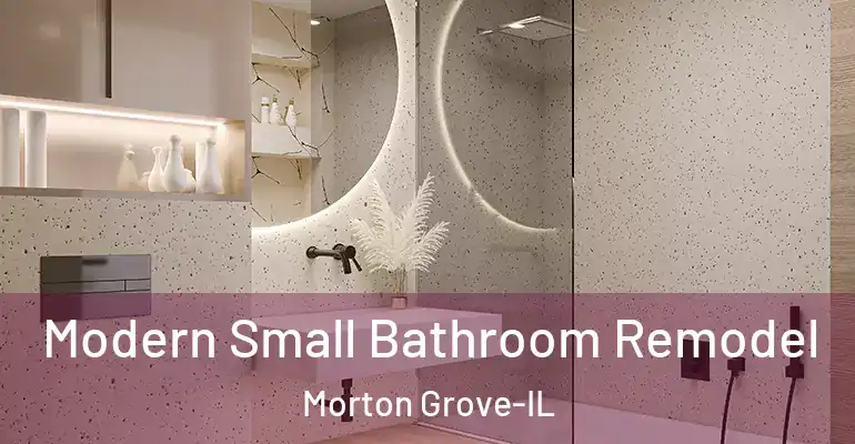 inner Bathroom imggen Modern Small Bathroom Remodel Morton Grove-IL