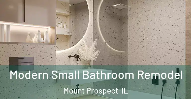 inner Bathroom imggen Modern Small Bathroom Remodel Mount Prospect-IL