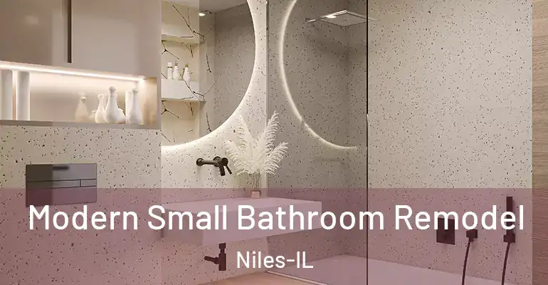 inner Bathroom imggen Modern Small Bathroom Remodel Niles-IL