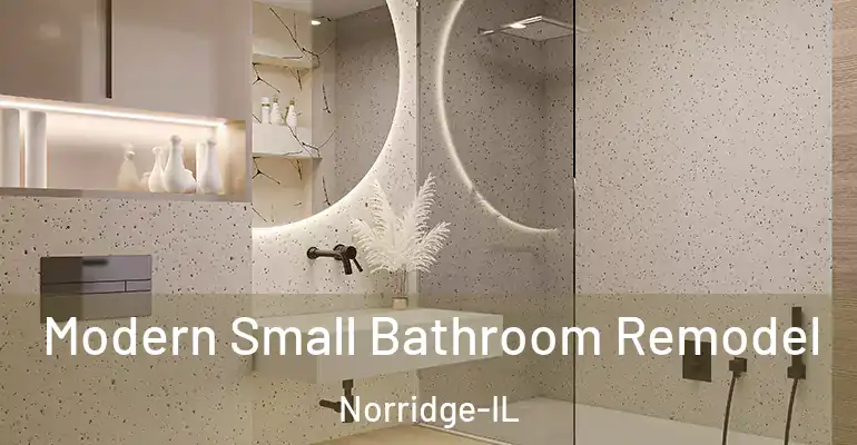 inner Bathroom imggen Modern Small Bathroom Remodel Norridge-IL