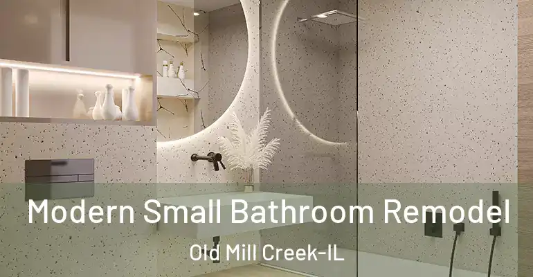 inner Bathroom imggen Modern Small Bathroom Remodel Old Mill Creek-IL