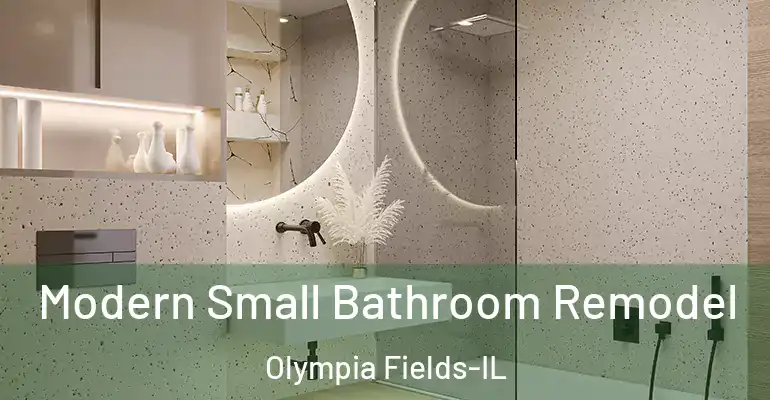 inner Bathroom imggen Modern Small Bathroom Remodel Olympia Fields-IL