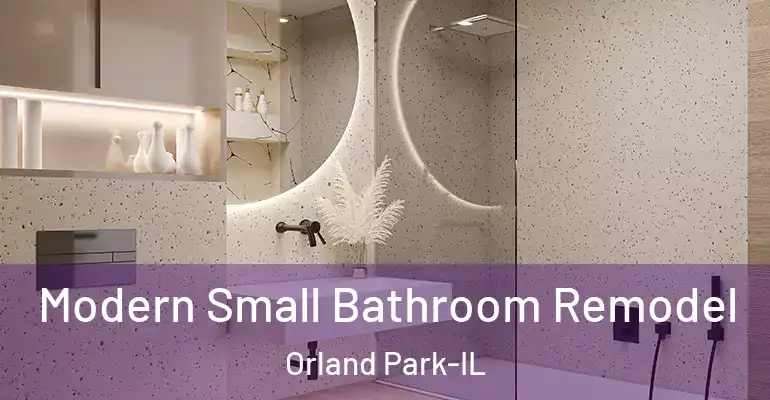 inner Bathroom imggen Modern Small Bathroom Remodel Orland Park-IL