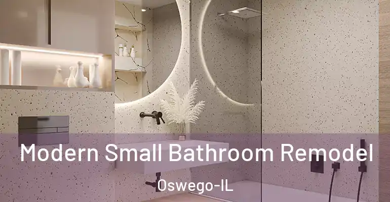 inner Bathroom imggen Modern Small Bathroom Remodel Oswego-IL