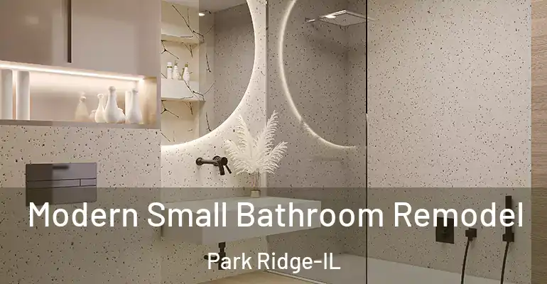 inner Bathroom imggen Modern Small Bathroom Remodel Park Ridge-IL