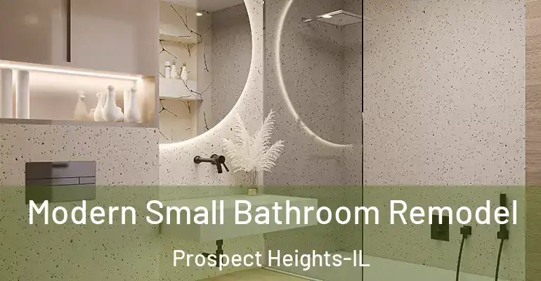 inner Bathroom imggen Modern Small Bathroom Remodel Prospect Heights-IL