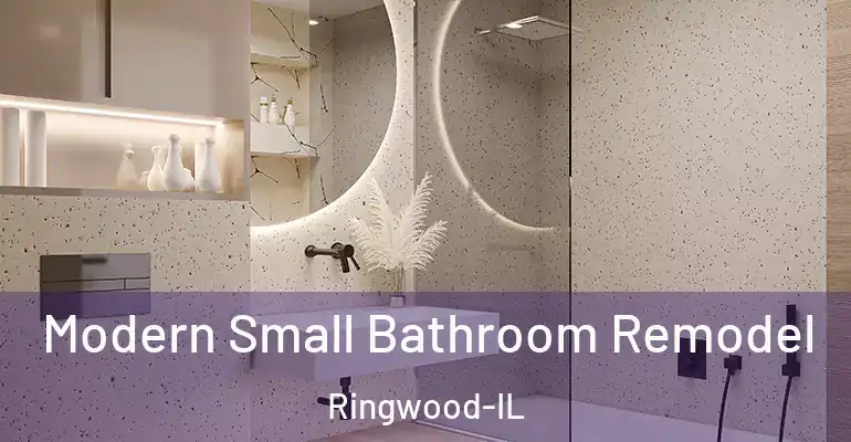 inner Bathroom imggen Modern Small Bathroom Remodel Ringwood-IL
