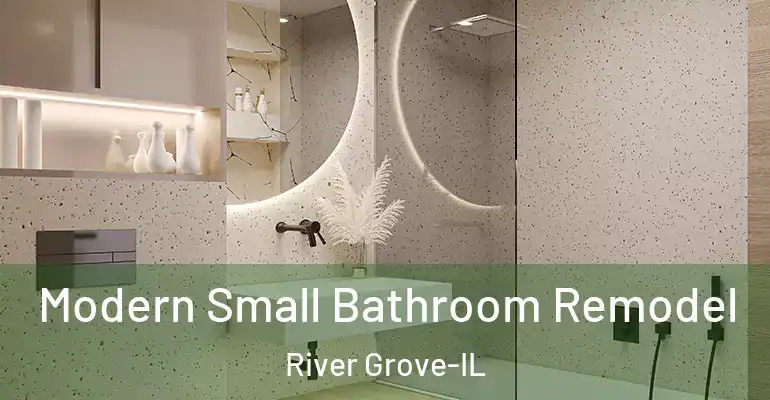inner Bathroom imggen Modern Small Bathroom Remodel River Grove-IL