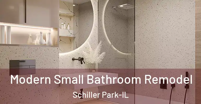 inner Bathroom imggen Modern Small Bathroom Remodel Schiller Park-IL