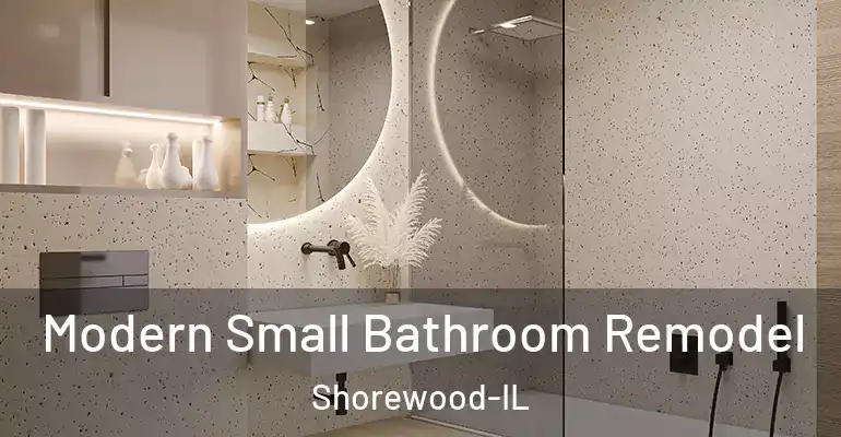 inner Bathroom imggen Modern Small Bathroom Remodel Shorewood-IL