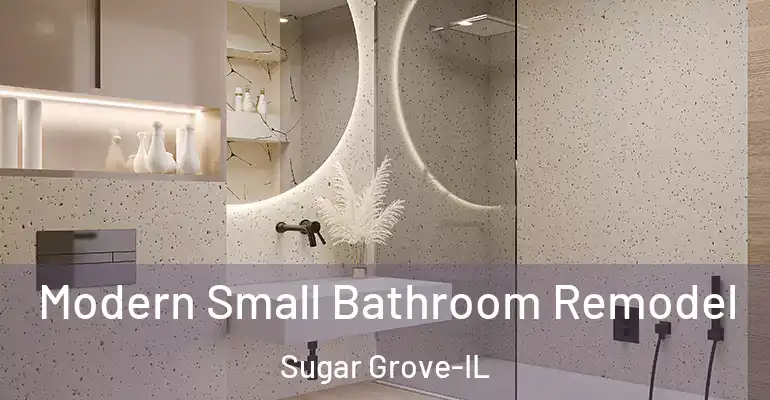 inner Bathroom imggen Modern Small Bathroom Remodel Sugar Grove-IL