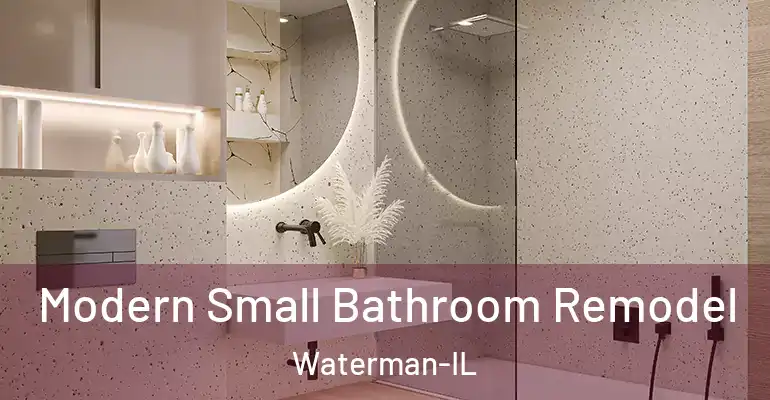 inner Bathroom imggen Modern Small Bathroom Remodel Waterman-IL