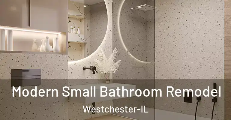 inner Bathroom imggen Modern Small Bathroom Remodel Westchester-IL