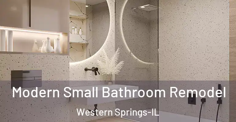 inner Bathroom imggen Modern Small Bathroom Remodel Western Springs-IL