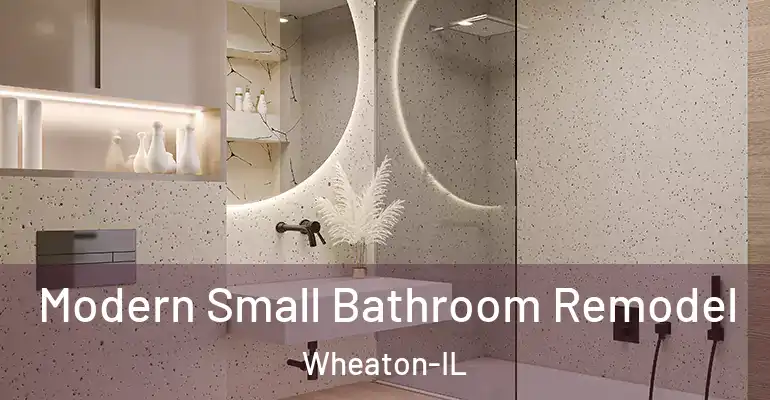 inner Bathroom imggen Modern Small Bathroom Remodel Wheaton-IL