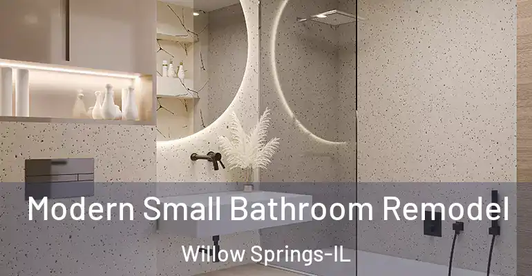 inner Bathroom imggen Modern Small Bathroom Remodel Willow Springs-IL
