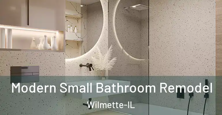 inner Bathroom imggen Modern Small Bathroom Remodel Wilmette-IL