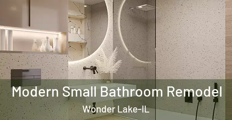 inner Bathroom imggen Modern Small Bathroom Remodel Wonder Lake-IL