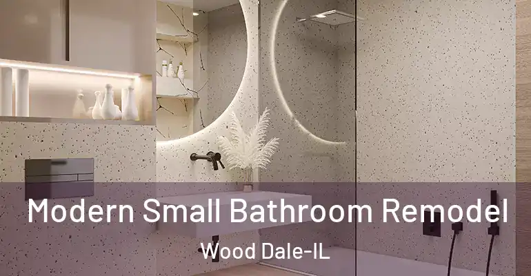 inner Bathroom imggen Modern Small Bathroom Remodel Wood Dale-IL