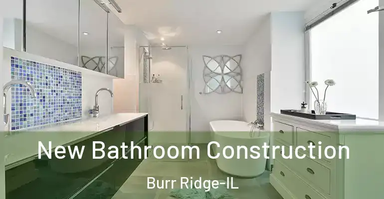 inner Bathroom imggen New Bathroom Construction Burr Ridge-IL