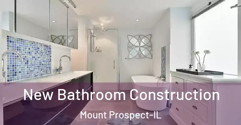 inner Bathroom imggen New Bathroom Construction Mount Prospect-IL