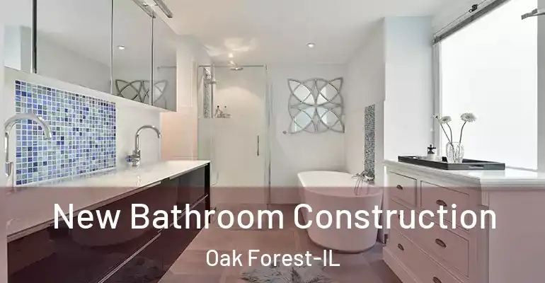 inner Bathroom imggen New Bathroom Construction Oak Forest-IL