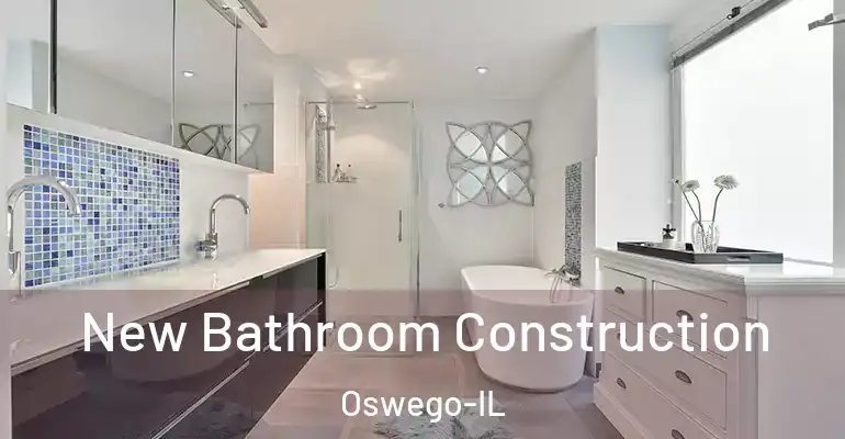 inner Bathroom imggen New Bathroom Construction Oswego-IL