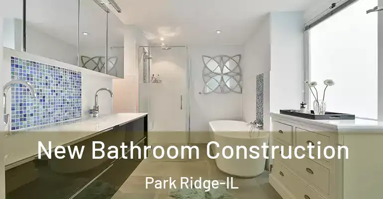 inner Bathroom imggen New Bathroom Construction Park Ridge-IL
