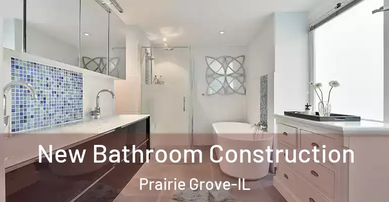 inner Bathroom imggen New Bathroom Construction Prairie Grove-IL