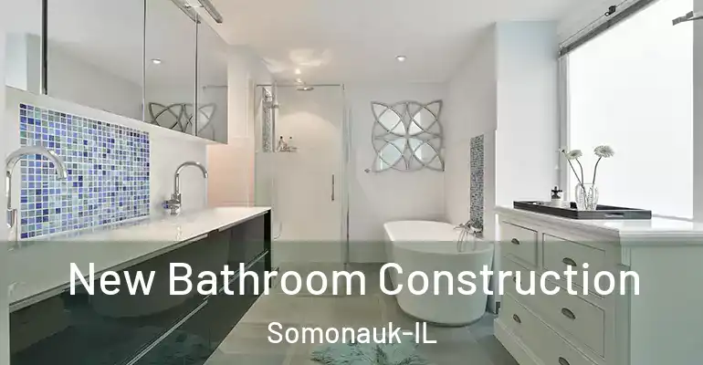 inner Bathroom imggen New Bathroom Construction Somonauk-IL