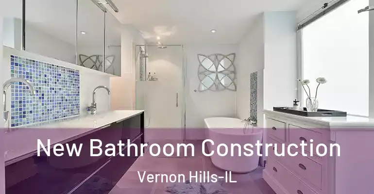 inner Bathroom imggen New Bathroom Construction Vernon Hills-IL