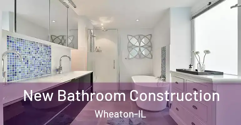 inner Bathroom imggen New Bathroom Construction Wheaton-IL