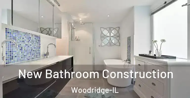 inner Bathroom imggen New Bathroom Construction Woodridge-IL