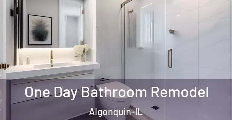 inner Bathroom imggen One Day Bathroom Remodel Algonquin-IL