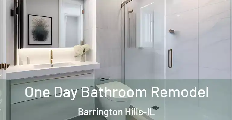 inner Bathroom imggen One Day Bathroom Remodel Barrington Hills-IL