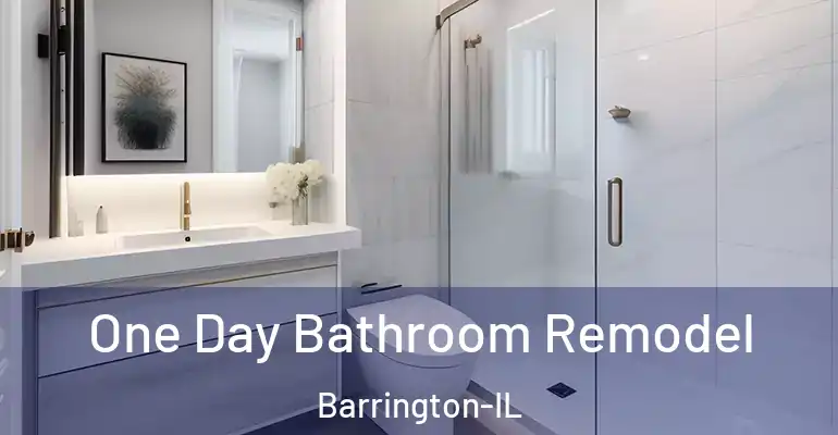 inner Bathroom imggen One Day Bathroom Remodel Barrington-IL