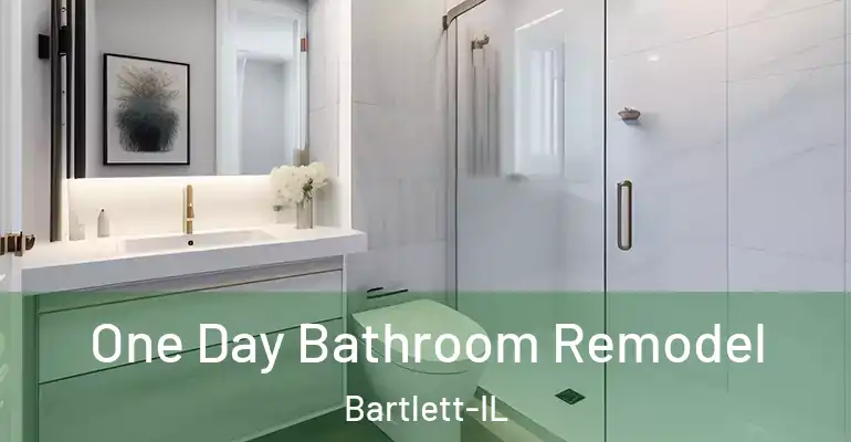 inner Bathroom imggen One Day Bathroom Remodel Bartlett-IL