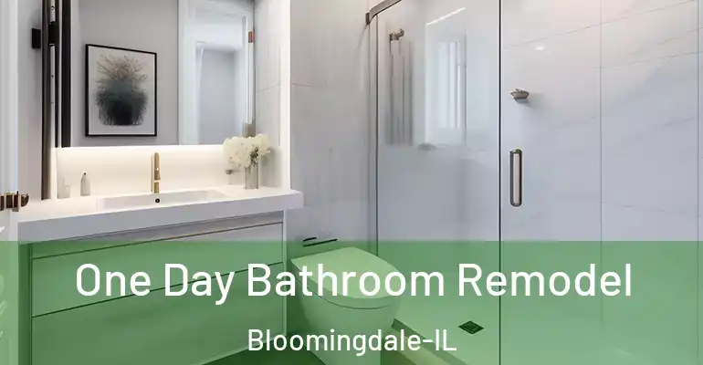 inner Bathroom imggen One Day Bathroom Remodel Bloomingdale-IL