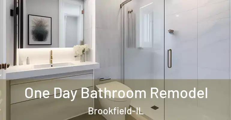 inner Bathroom imggen One Day Bathroom Remodel Brookfield-IL