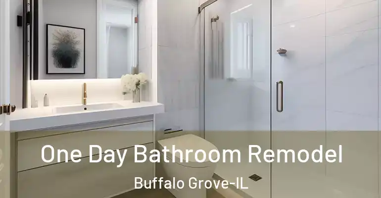 inner Bathroom imggen One Day Bathroom Remodel Buffalo Grove-IL