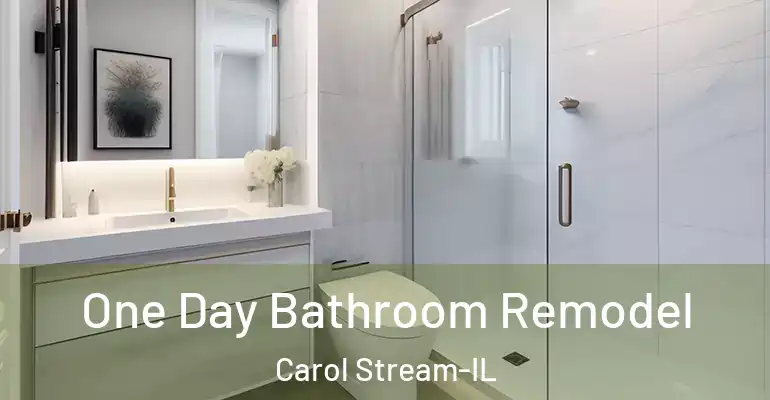 inner Bathroom imggen One Day Bathroom Remodel Carol Stream-IL