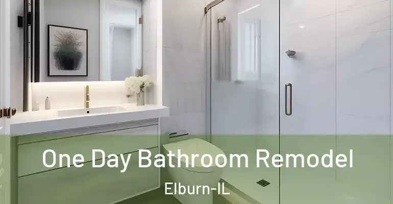 inner Bathroom imggen One Day Bathroom Remodel Elburn-IL