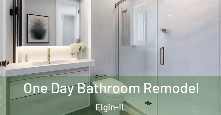inner Bathroom imggen One Day Bathroom Remodel Elgin-IL