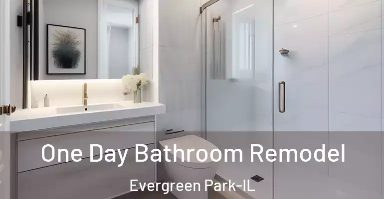inner Bathroom imggen One Day Bathroom Remodel Evergreen Park-IL