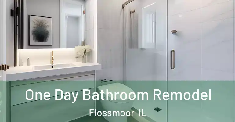 inner Bathroom imggen One Day Bathroom Remodel Flossmoor-IL
