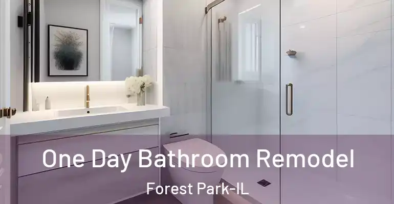 inner Bathroom imggen One Day Bathroom Remodel Forest Park-IL