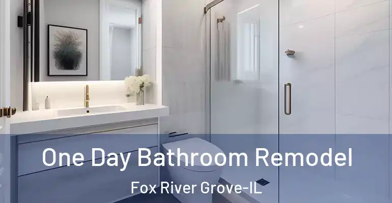 inner Bathroom imggen One Day Bathroom Remodel Fox River Grove-IL