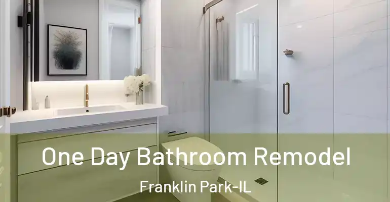 inner Bathroom imggen One Day Bathroom Remodel Franklin Park-IL