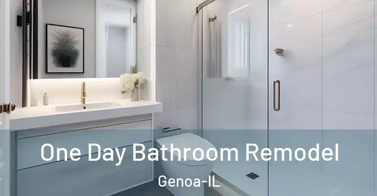 inner Bathroom imggen One Day Bathroom Remodel Genoa-IL